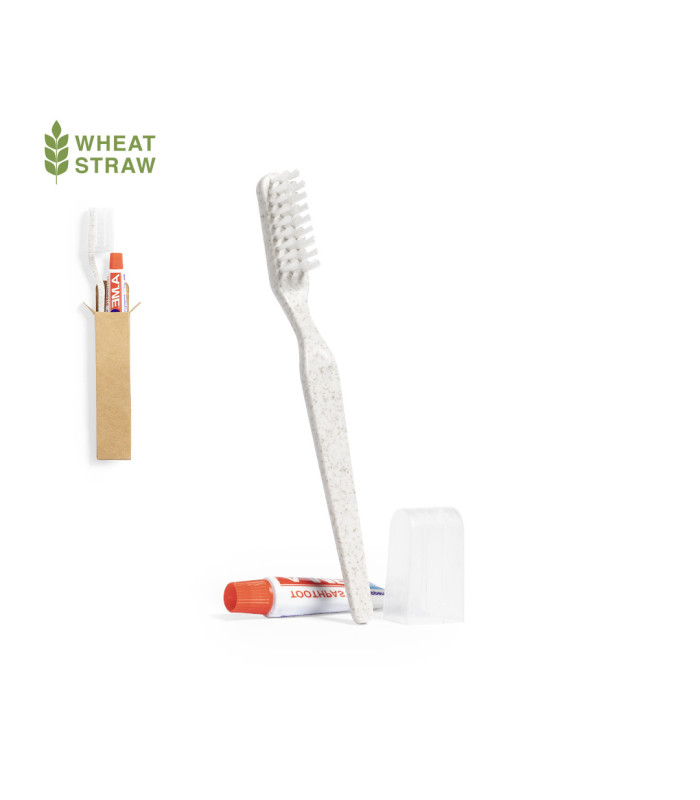 Set Dental Dental Kit
